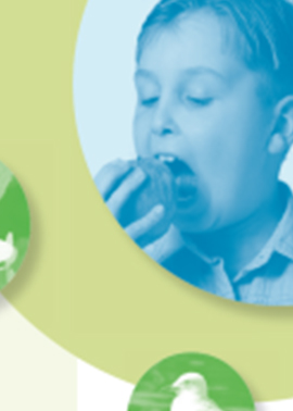 Boy biting an apple