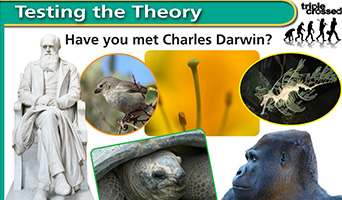 Testing a theory