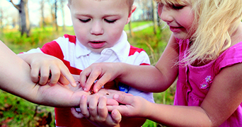 Open palm holding a ladybird a boy and girl investigate the bug
