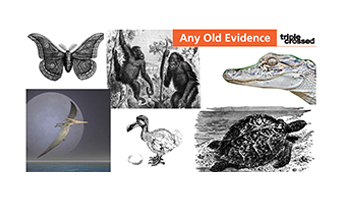 Science & History Hero