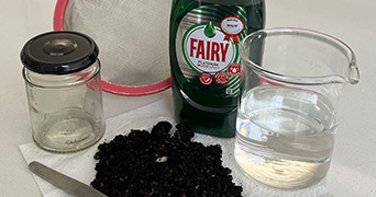 A pile of soil, water, washing up liquid and a jar