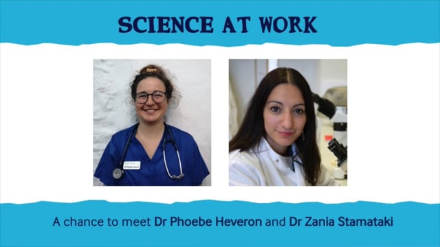Two doctors video